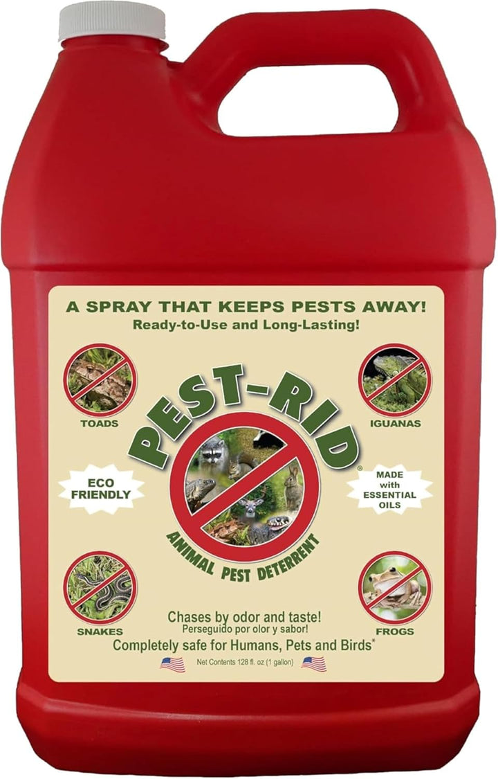 Pest Rid