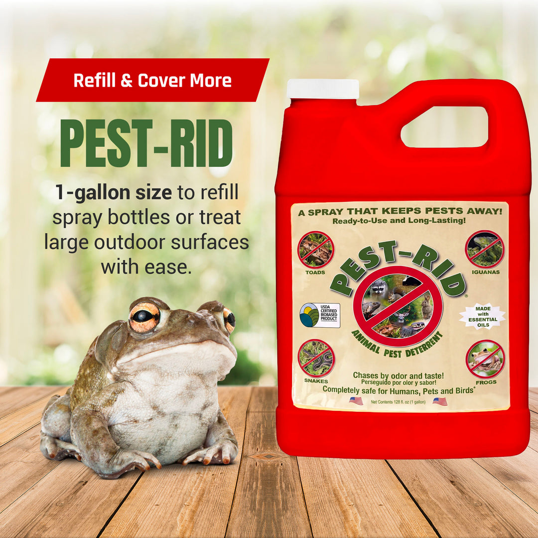 Pest Rid