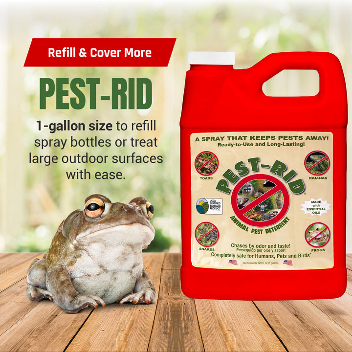 Pest Rid