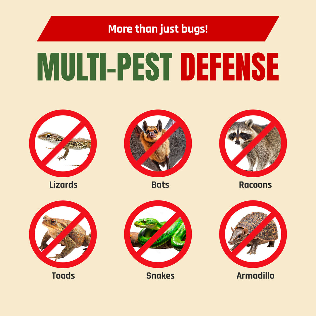 Pest Rid