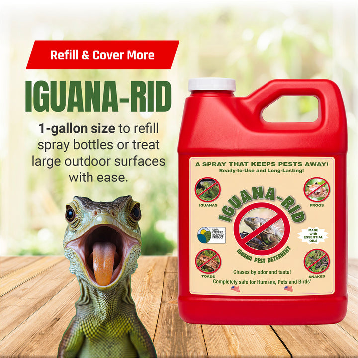 Iguana Rid