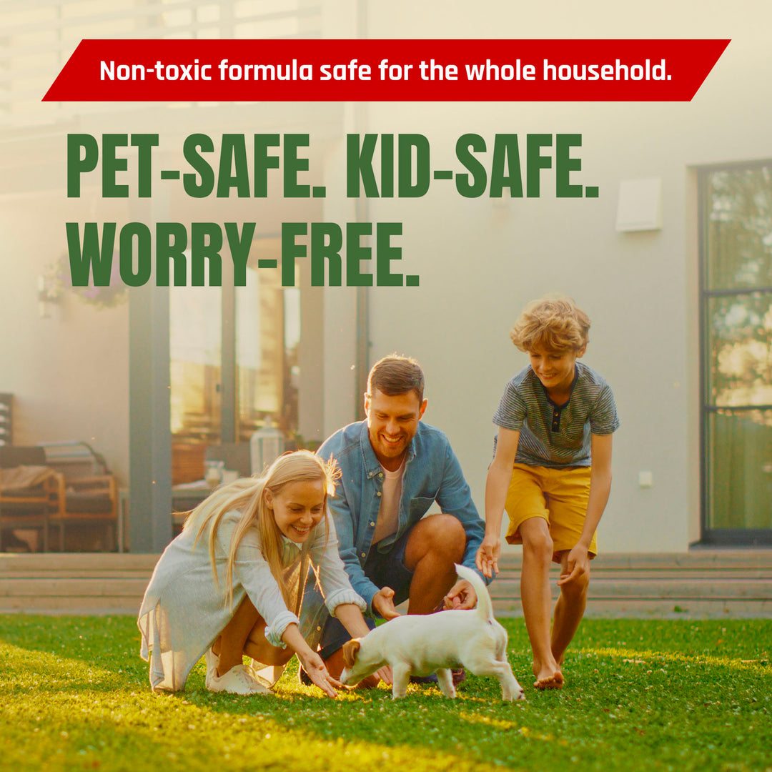 Pest Rid Golden Granules