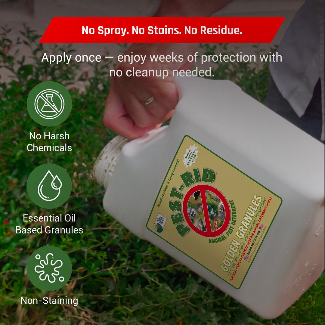 Pest Rid Golden Granules