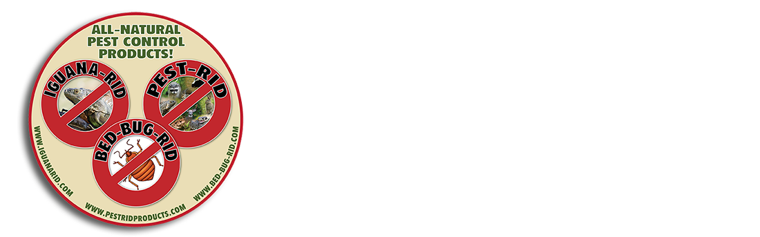 Blog-logo-For-Banner